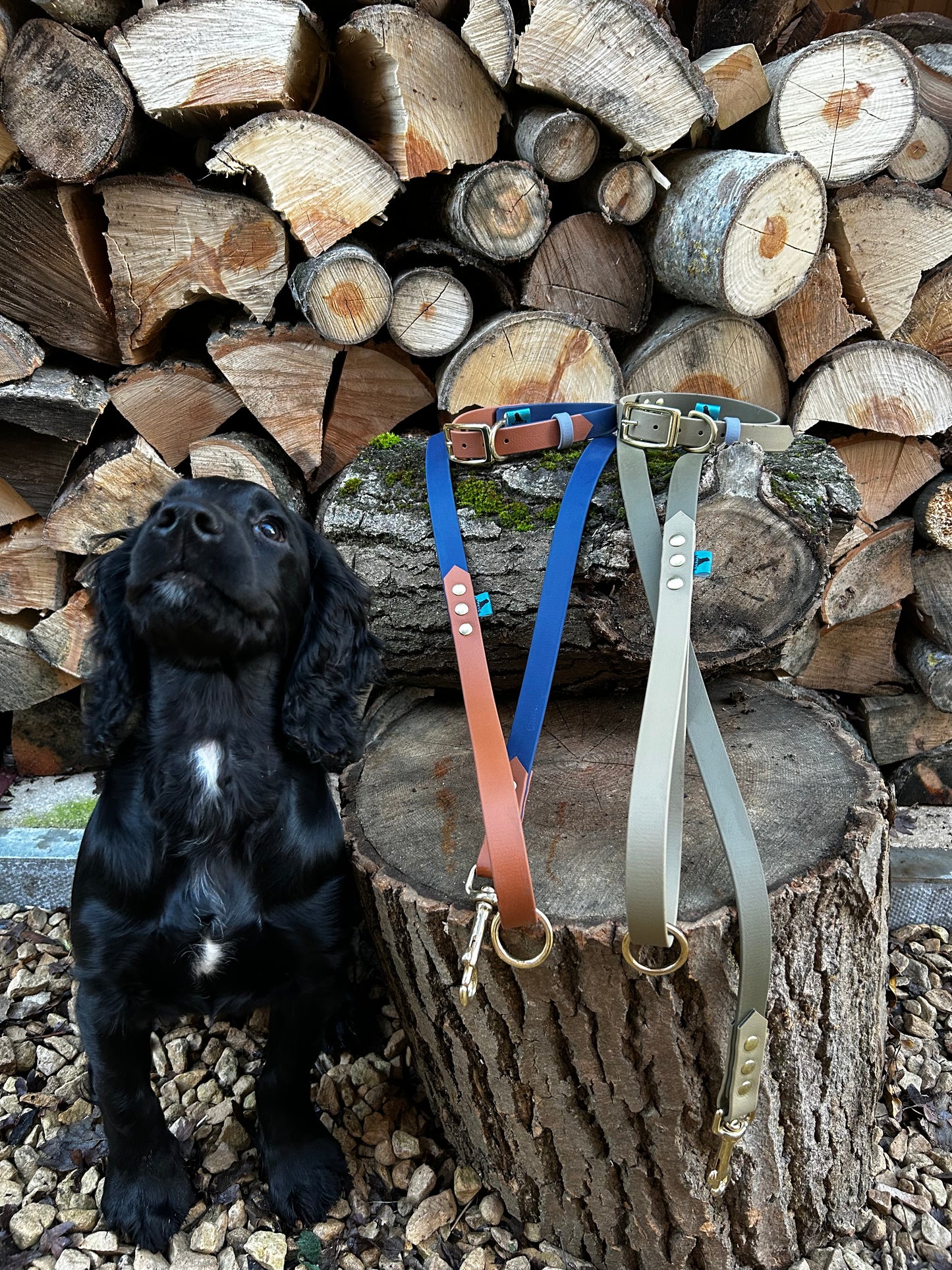 Navy and Tan BioThane lead