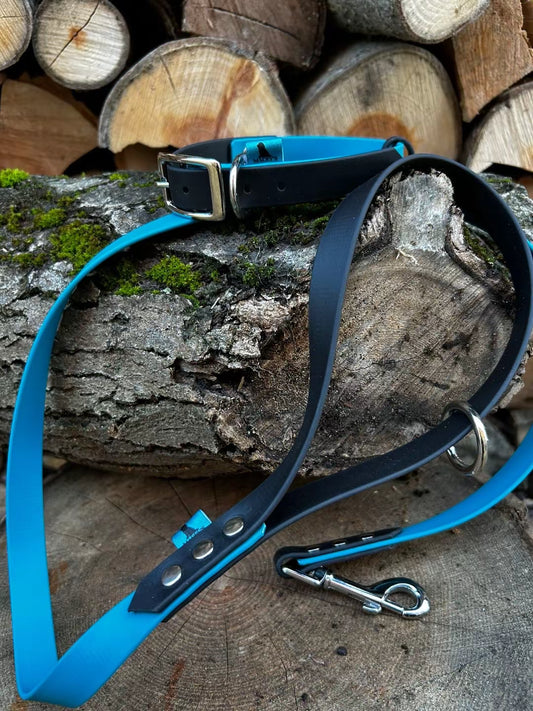 Cyan and Navy Biothane lead