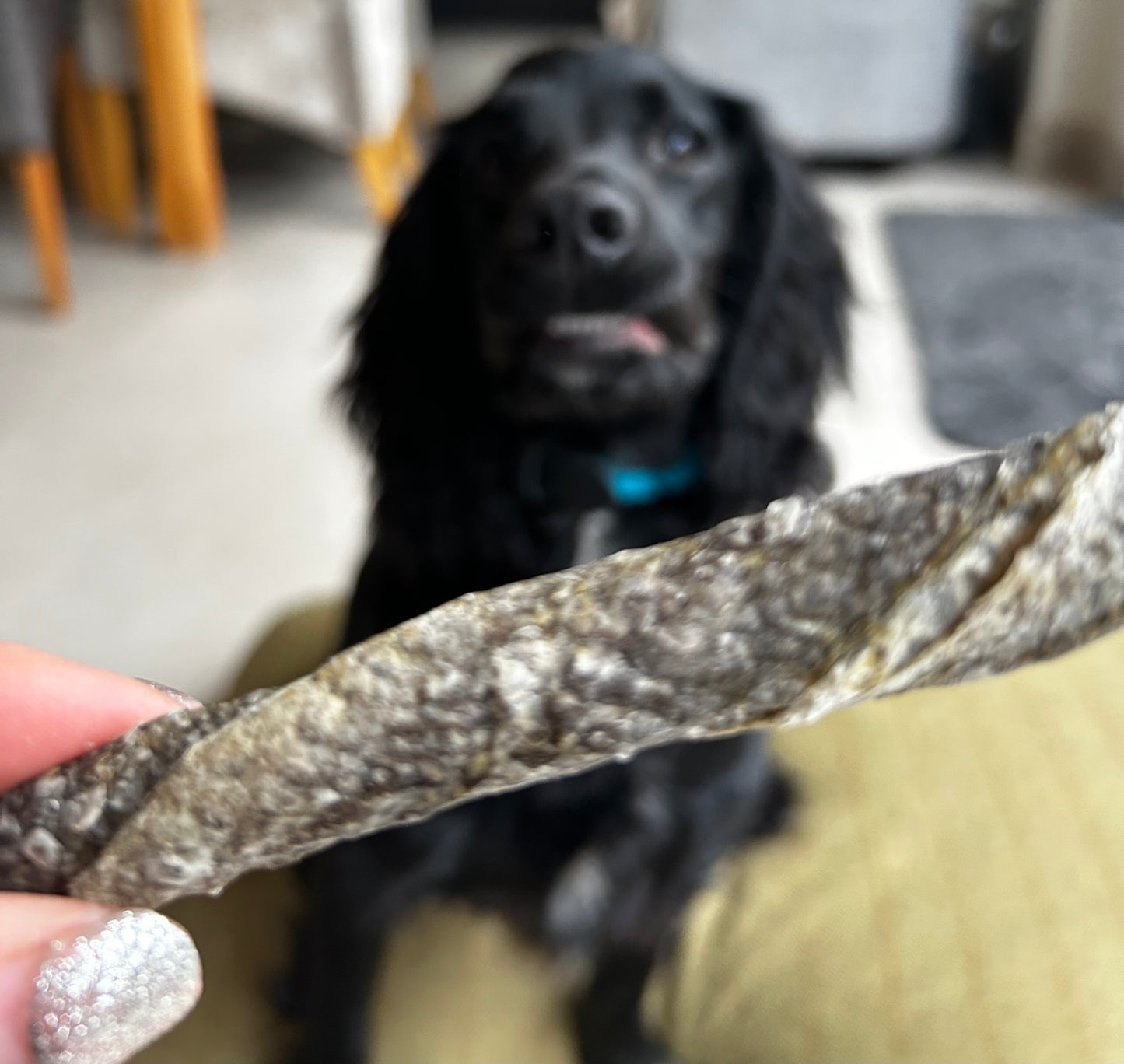 Large Cod skin twists