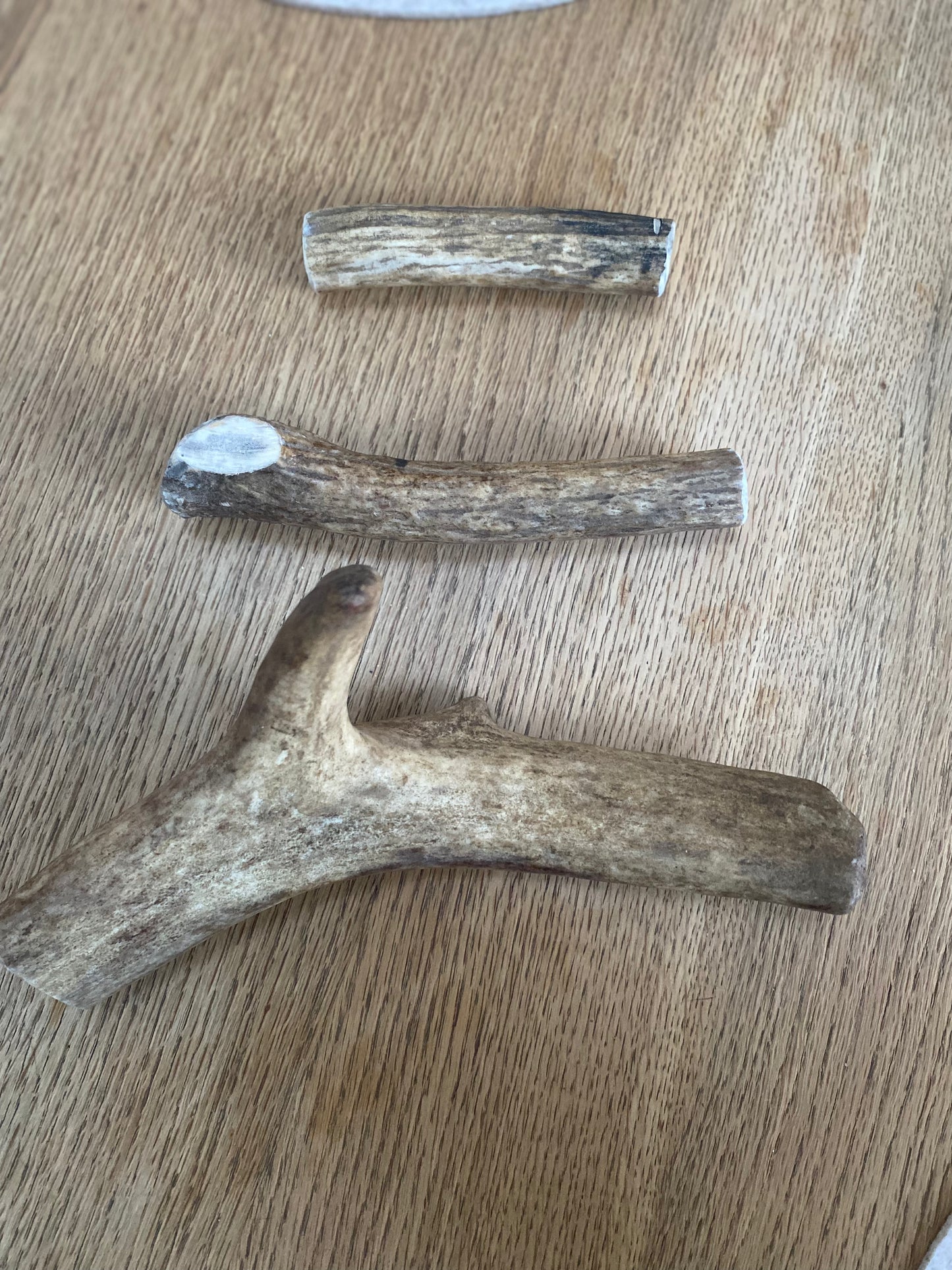 Antlers