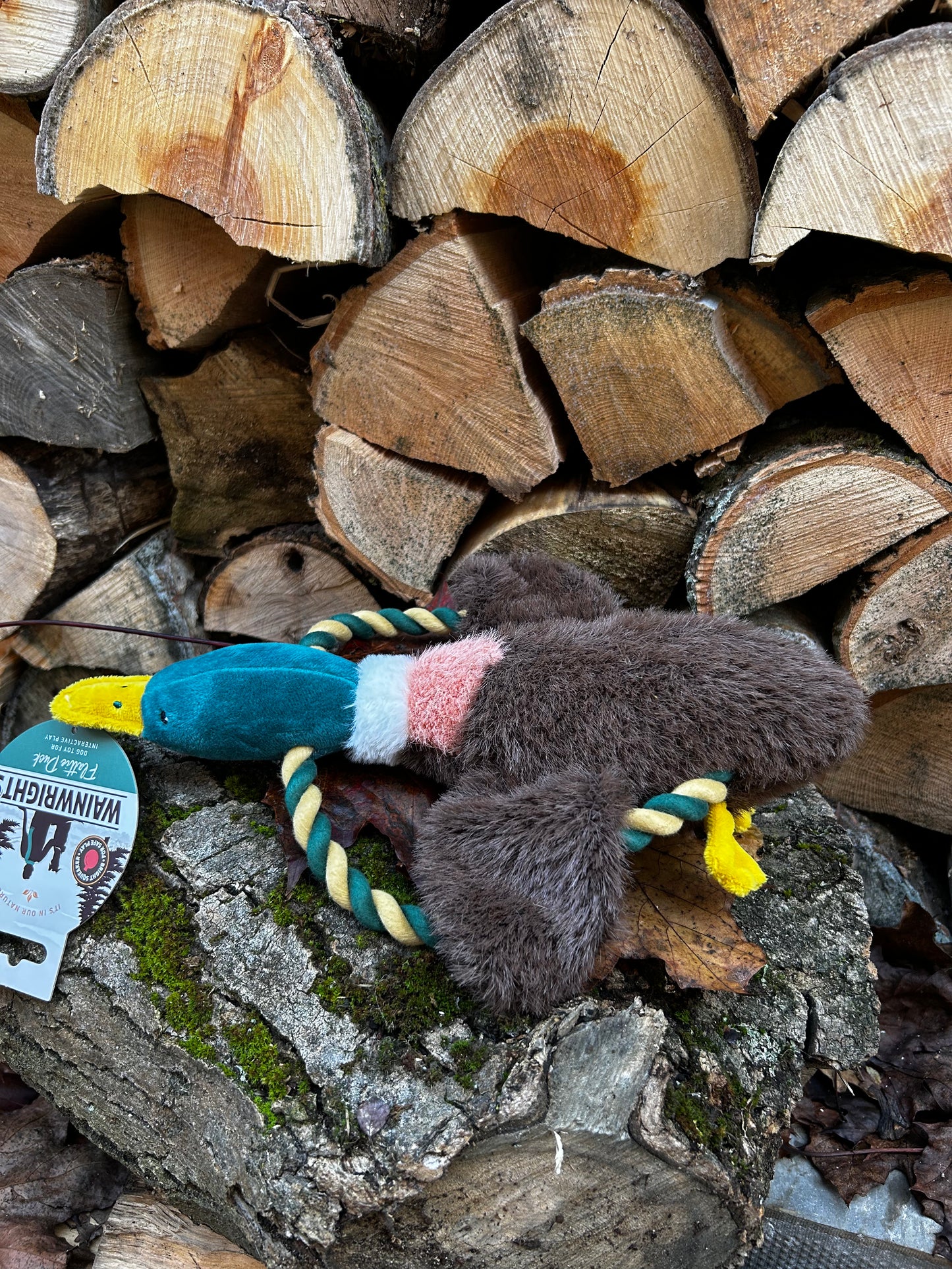 Medium sized dog toy