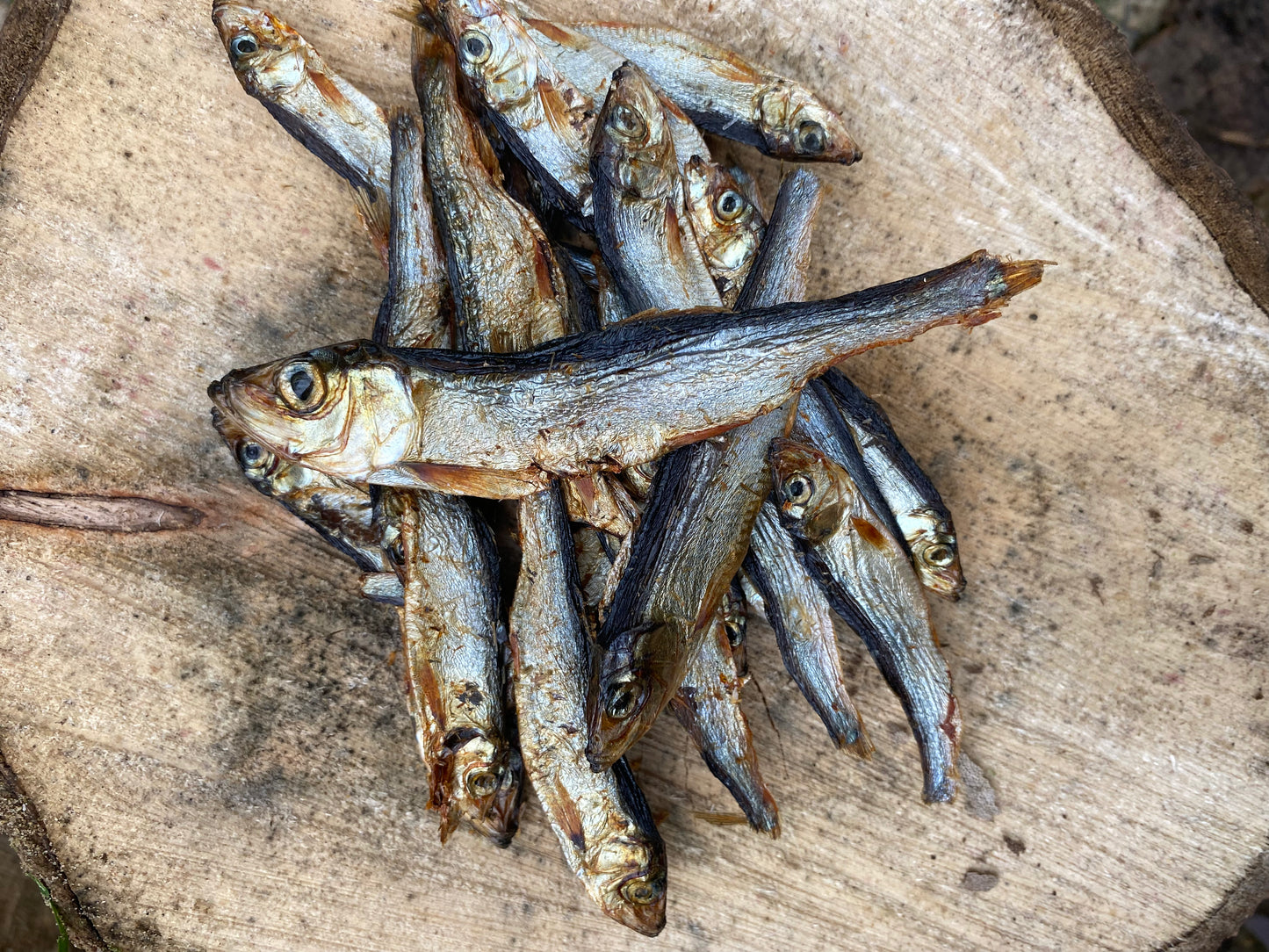 Fish Sprats