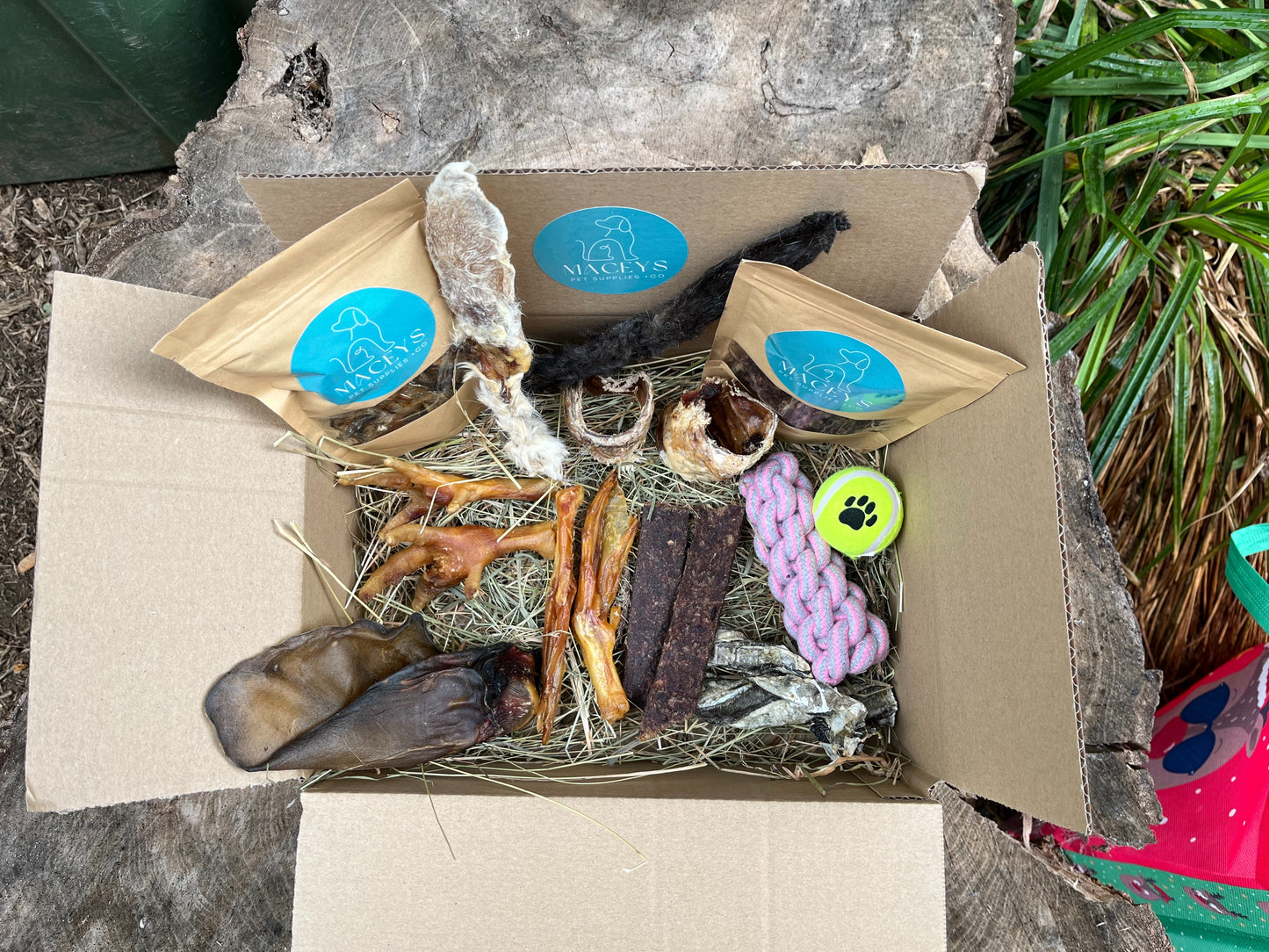 Box - Puppy Pack