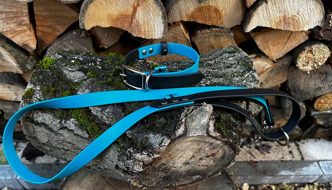 Cyan and Navy Biothane lead