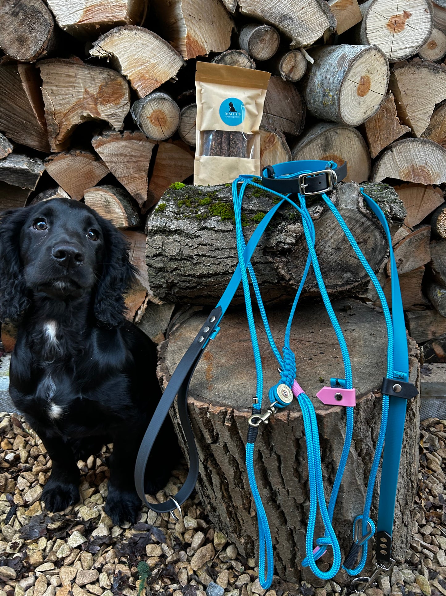 Cyan and navy slip lead