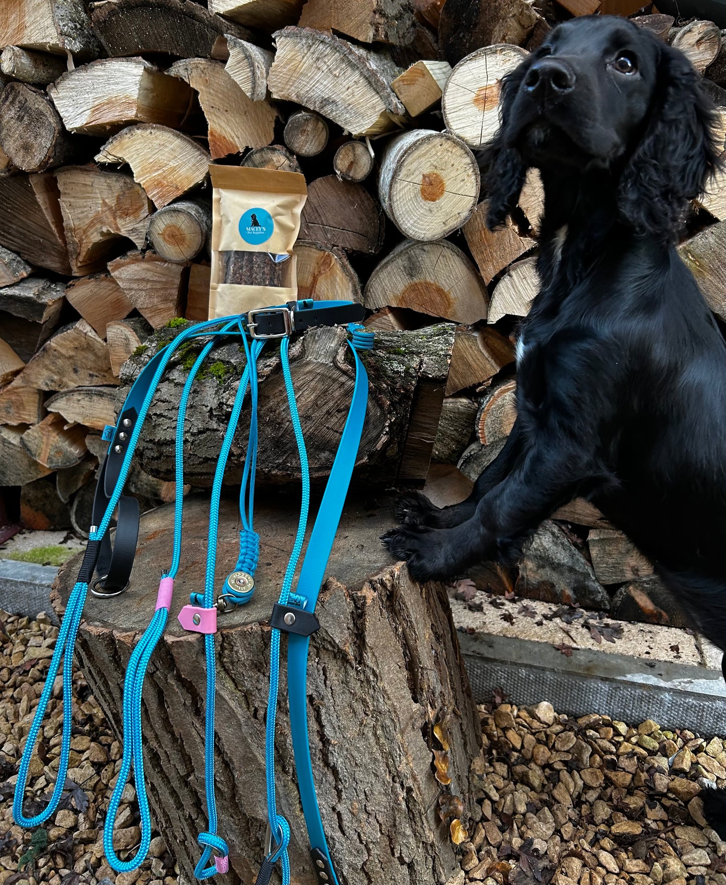 Cyan and Navy Biothane lead