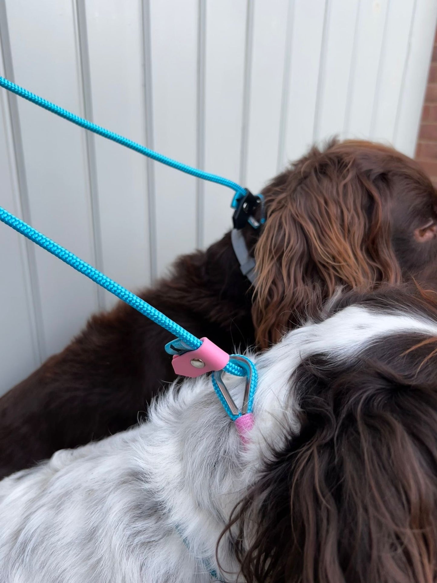 Cyan and navy slip lead