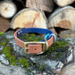 BioThane Navy and tan collar