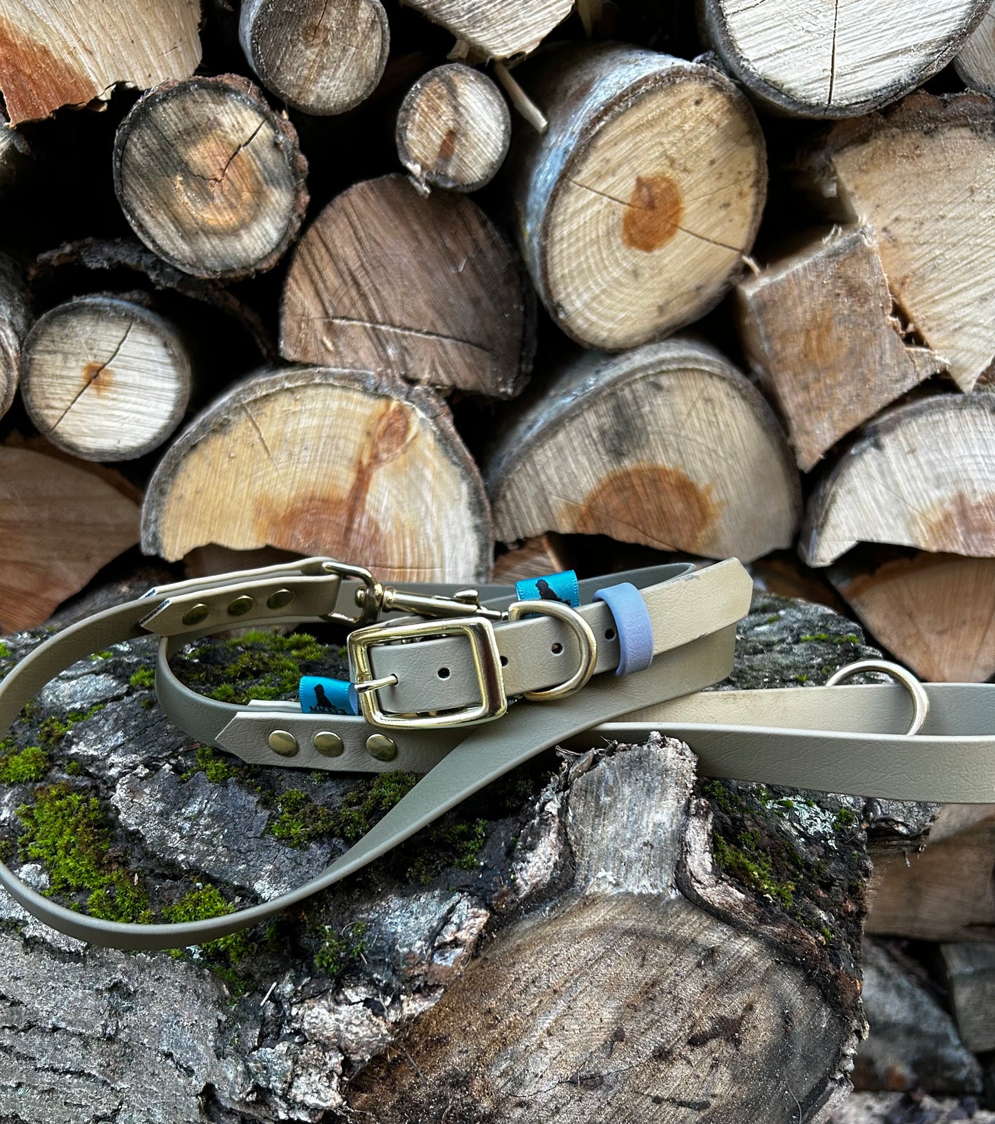 Light olive and cream BioThane lead