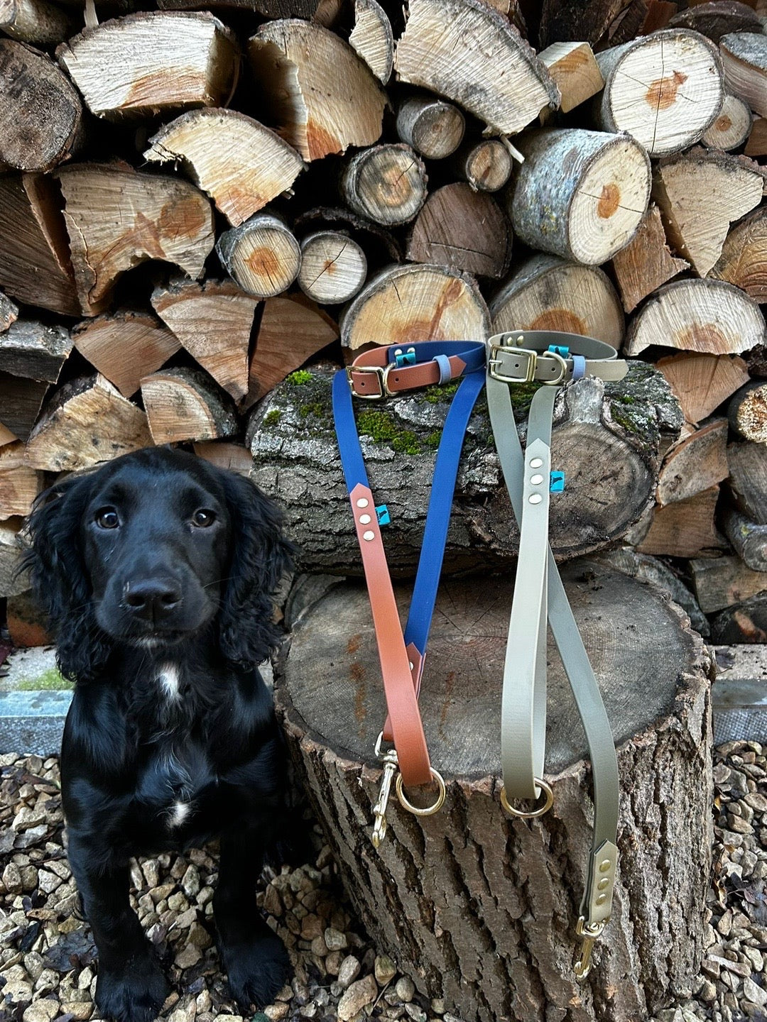 Navy and Tan BioThane lead