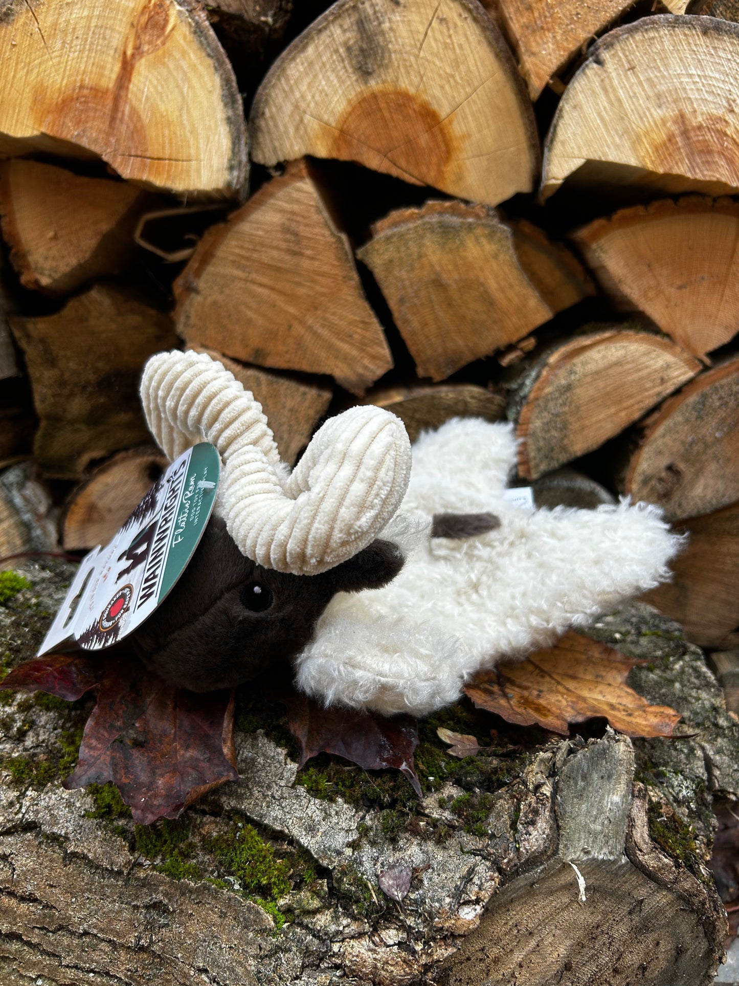 Medium sized dog toy