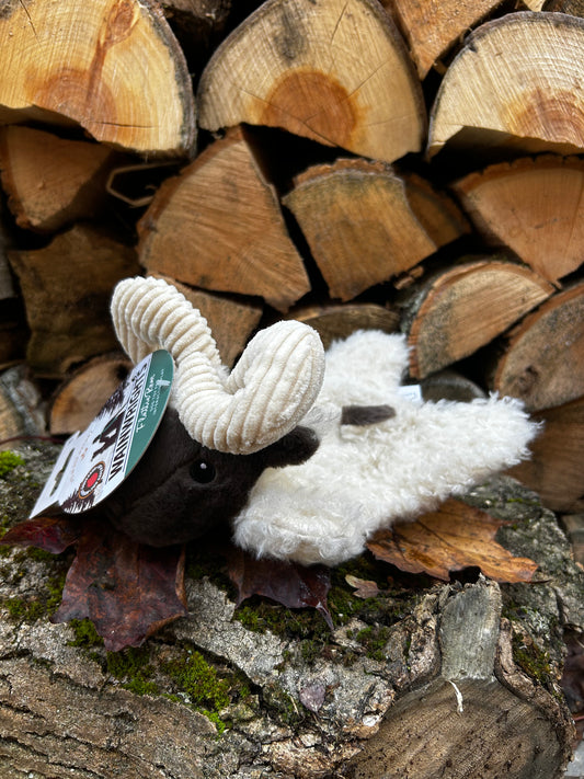 Medium sized dog toy