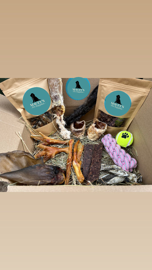 Mixed Taster puppy Box