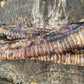 Beef Trachea - 15cm pieces