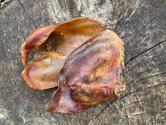 Large Pig ear