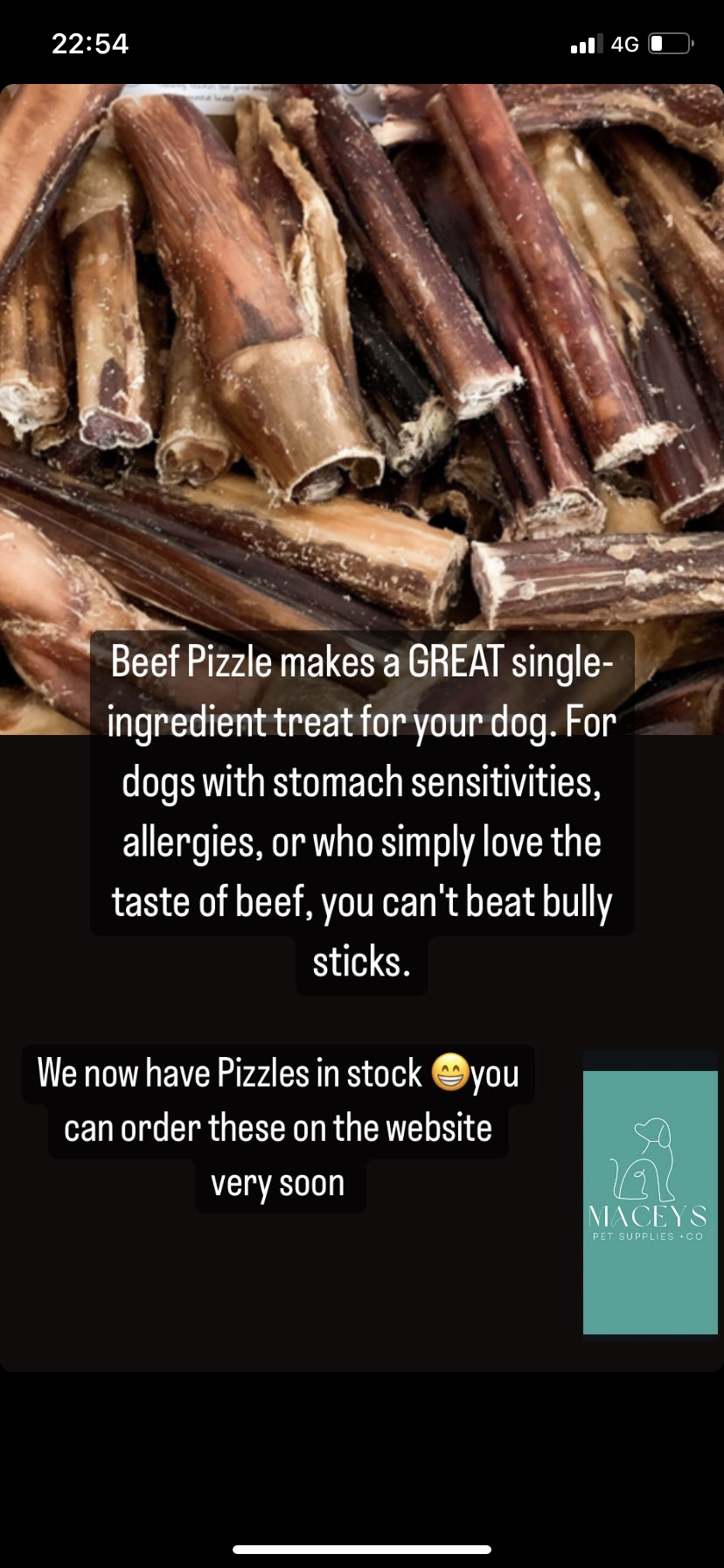 Beef Pizzles - 12cm pieces